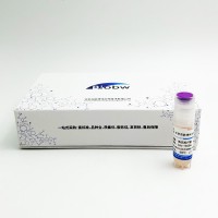 BIOBW生物蠟狀芽孢桿菌 Bacillus cereus