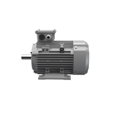 Ac-Motoren ACA 100 L 2/SPE 三相異