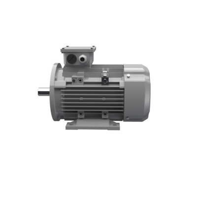 Ac-Motoren ACM 100 LA 8/PHE  異步