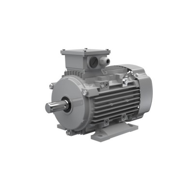 Ac-Motoren ACM 100 LA 4/PHE 異步